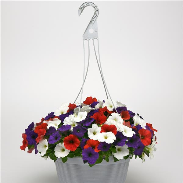 E3 Easy Wave® Red White and Blue Mixture Container 1